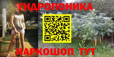 шишки Кунгур