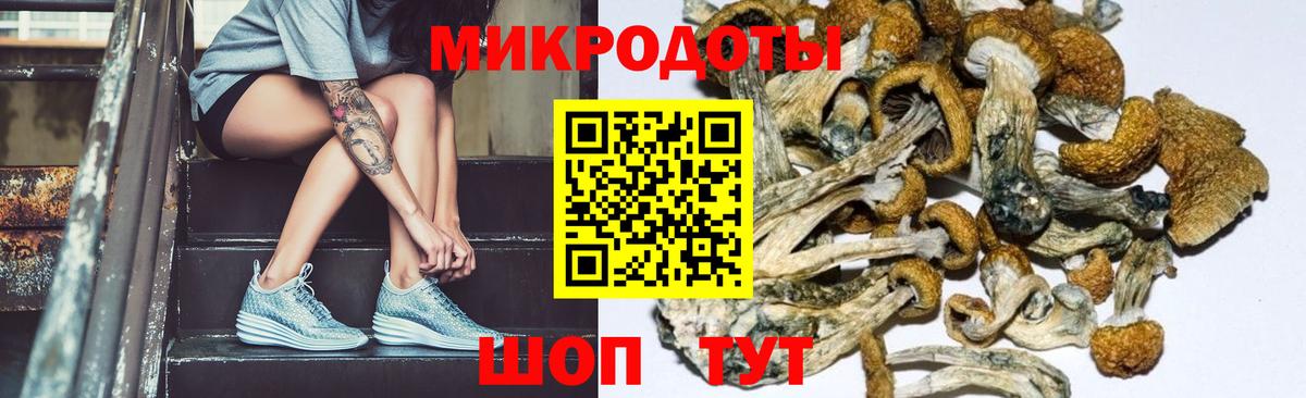 Калач-на-Дону  Галлюциногенные грибы GOLDEN TEACHER  Вход с VPN 